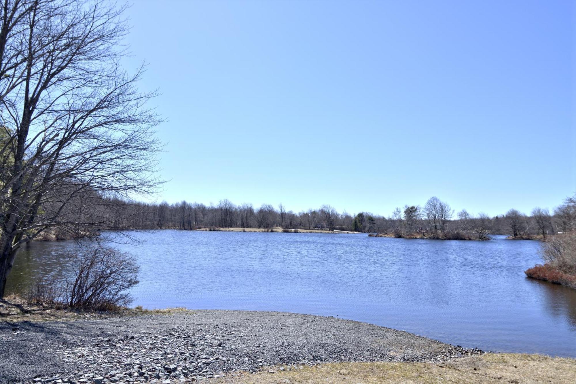 Lakehouse *Hottub*Jacuzzi*Firepit*Bbq*Pool Long Pond Eksteriør bilde